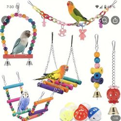 Bird cages and toys 