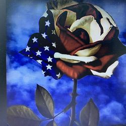 DIY 5D Artificial Diamond Painting American Flag Rose No Frame 
