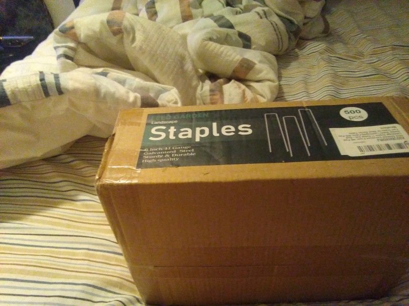 Staples. 6inch