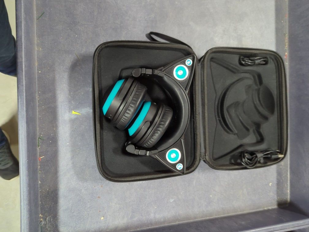 Headphones In Case