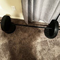 Weight Bench
