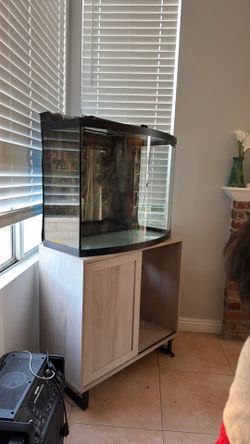 40 gallon fish tank with stand