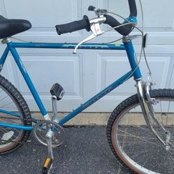 Schwinn Cruiser 5 Beach Bmx Mountain Bike