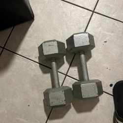 25 Pound Dumbbells 