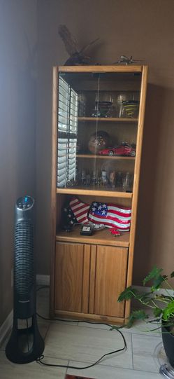 Oak Curio / Display Cabinet with Glass Doors & Storage