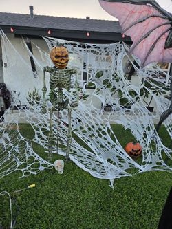 Spider Web-Beef Netting