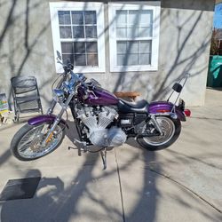 2000 Harley Davidson Sporter 883 Custom