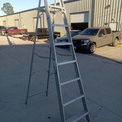 8 Ft Ladder 