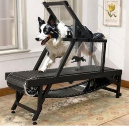 Dog treadmill