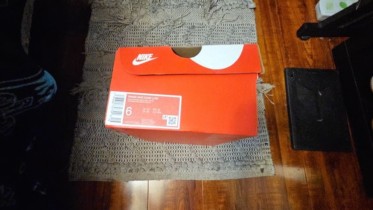 Nike Dunk Low “Brown Panda” Clean, Fresh Out The Box