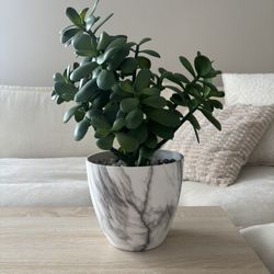Artificial Plant, Marble Vase 