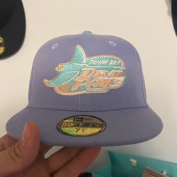 Tampa Bay Rays fitted 