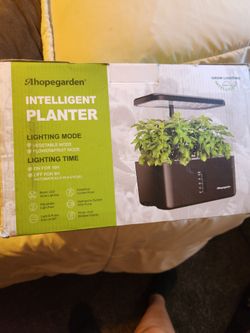 Hydroponic garden