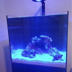 WaterBox 20gallon AIO FULL set Up Saltwater