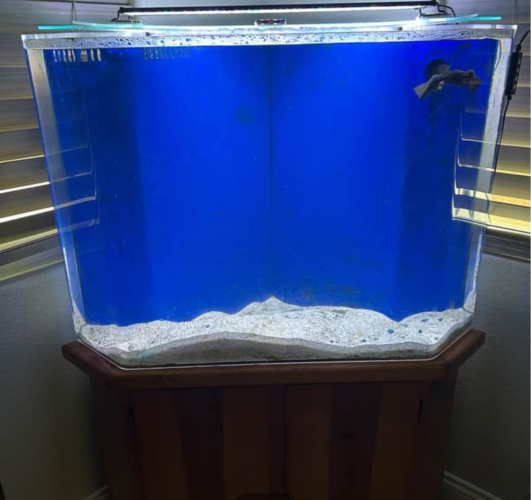 Corner 50 Gallon Fish Tank Salt Water