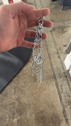 Dog Prong Collar