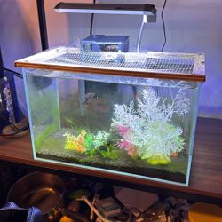 Loaded 7-Gallon Fish Tank