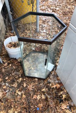 Fish tank