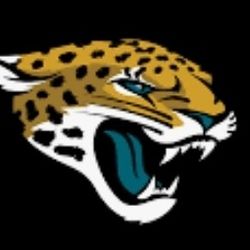 Brand New - Jacksonville Jaguars Apple Watch Band 