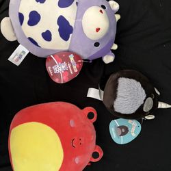 Squishmallow Bundle