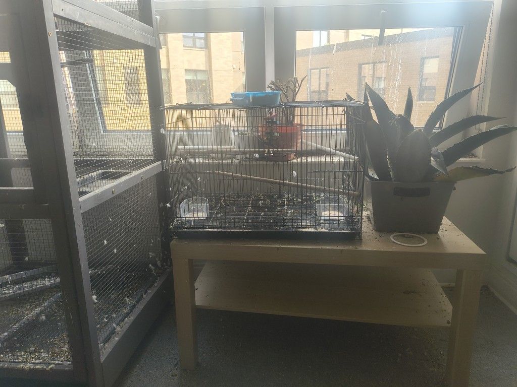 Birdcage