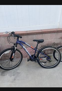 Kids Schwinn Bike