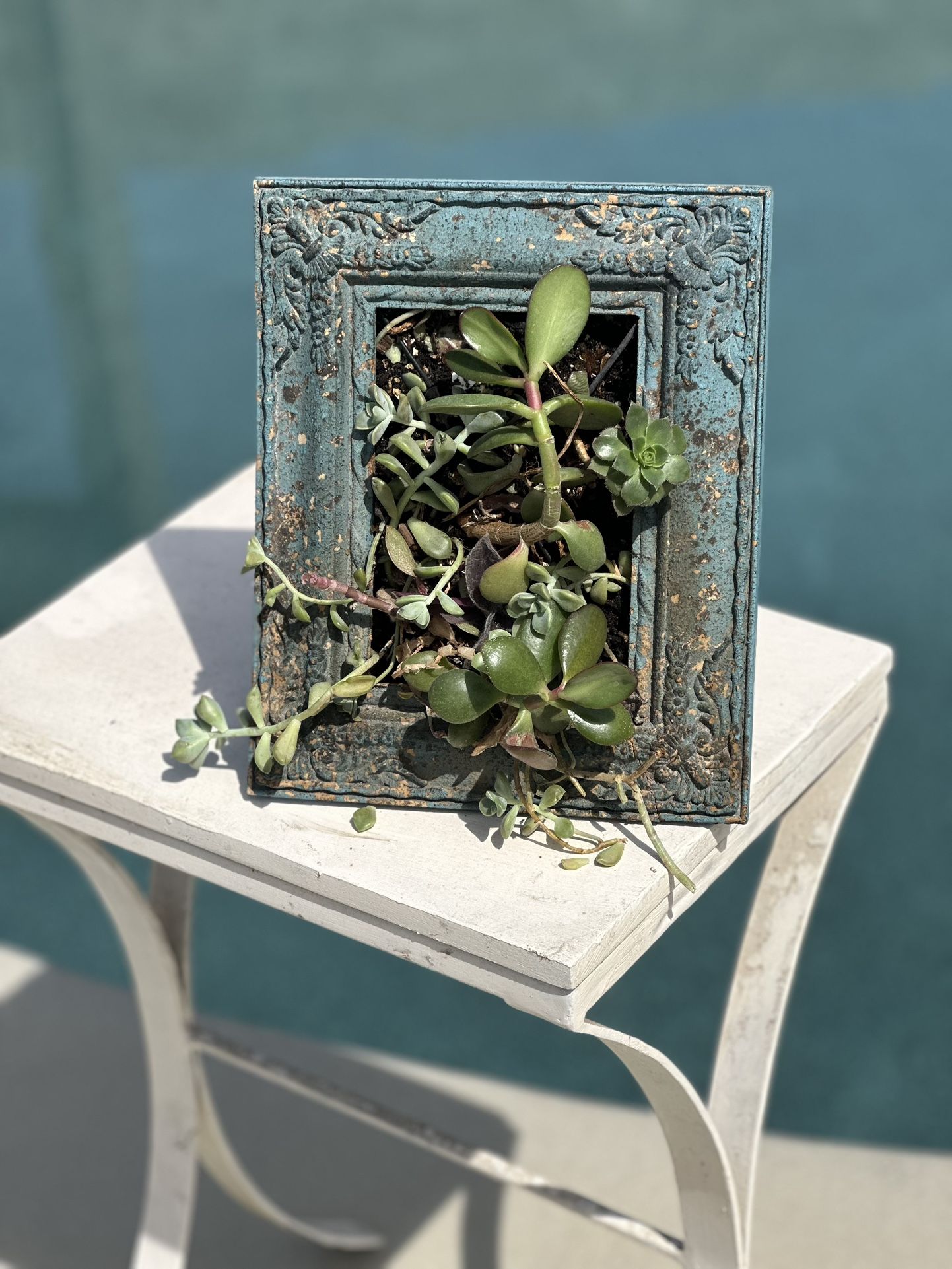 Cute Photo Framed Showdow Box Succulent Planter