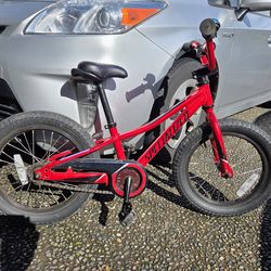 Kids Specialized RipRock 16"