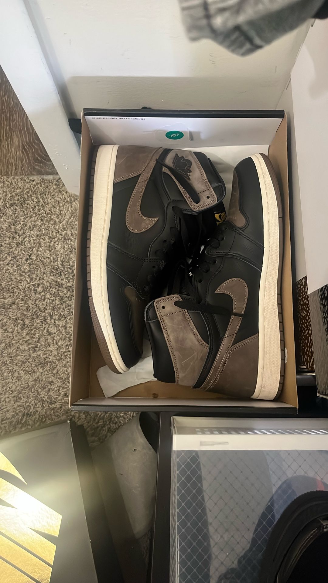 Air Jordan 1’s