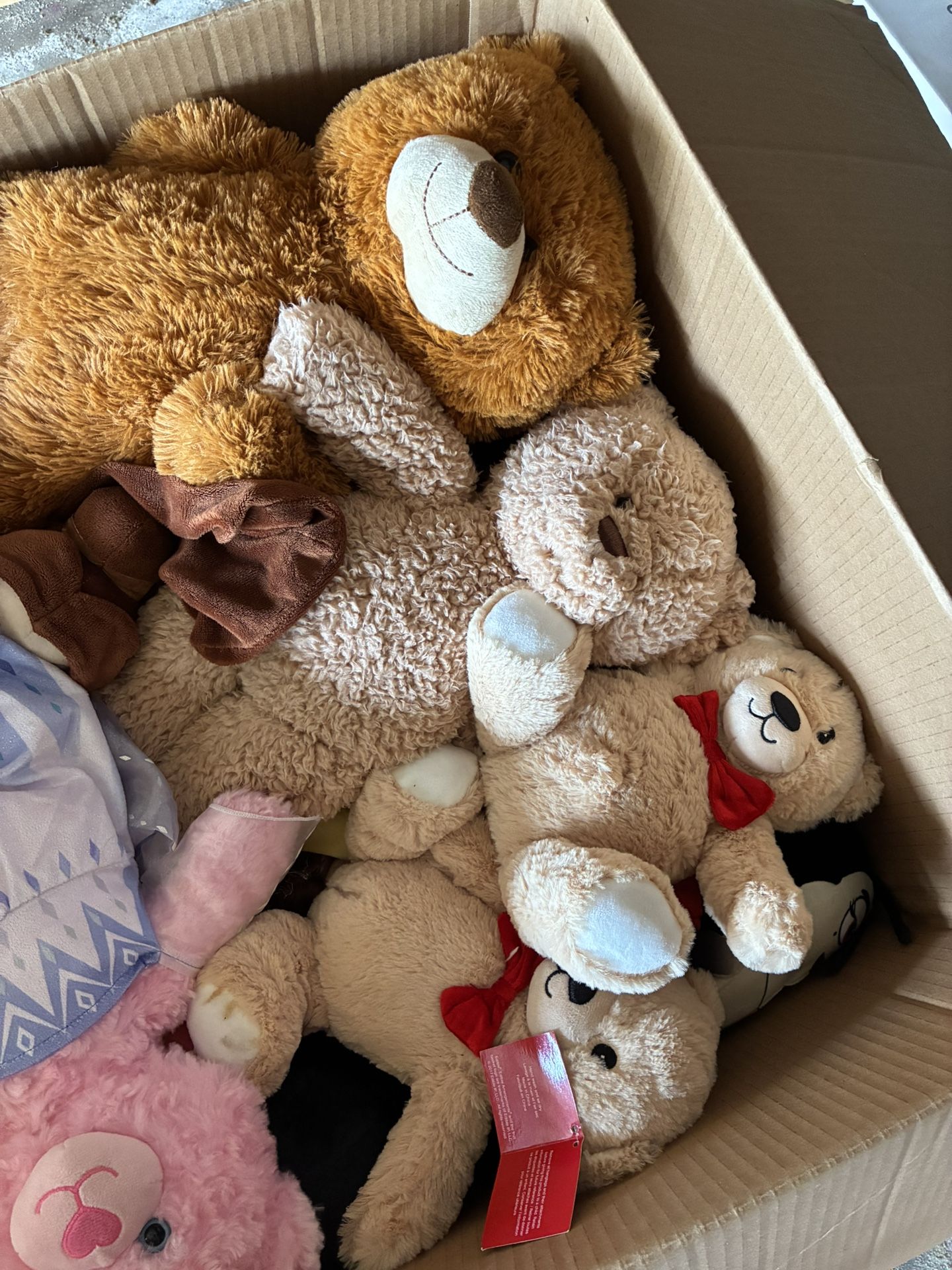 Teddy Bears