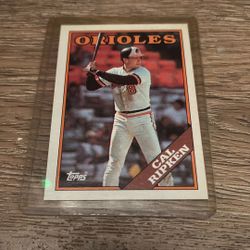 Cal Ripken Baseball Card