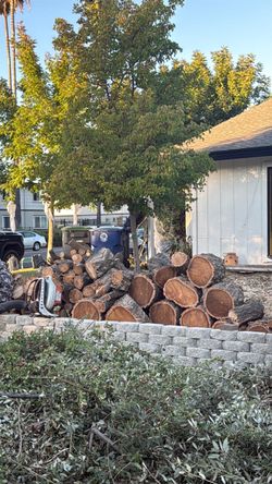 Free wood