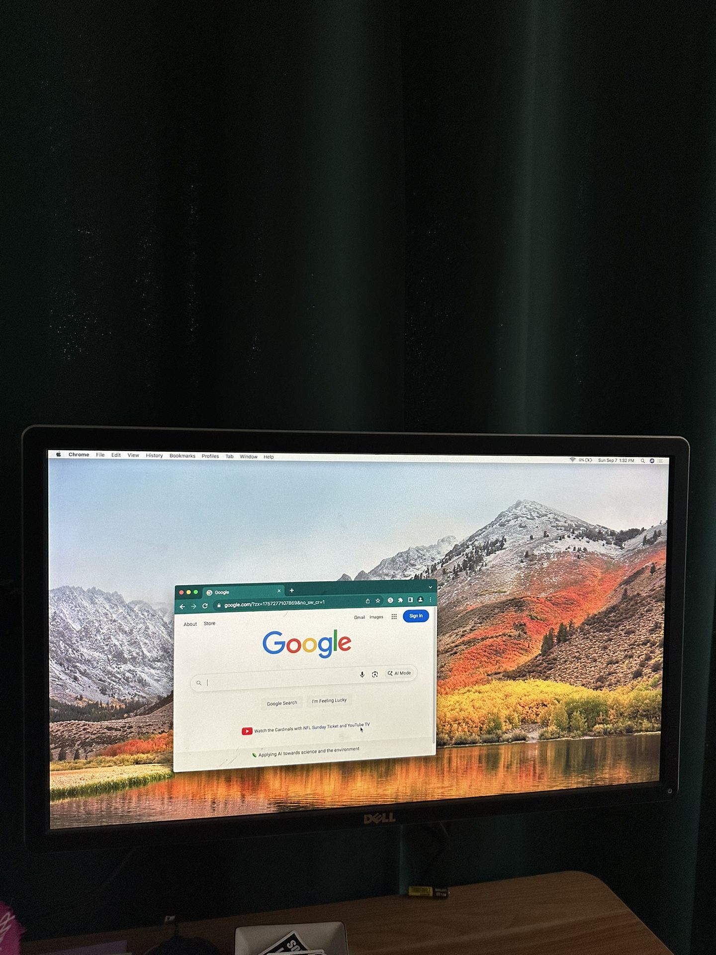 Dell Computer Monitor