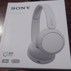 Sony WH - CH520 Headphones 