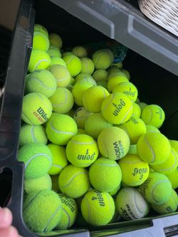 50 tennis balls in great shape