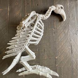 NEW - skeleton vulture with moving neck - Halloween