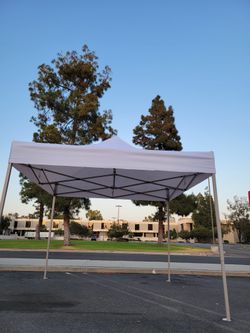 Canopy 10x10 Ft