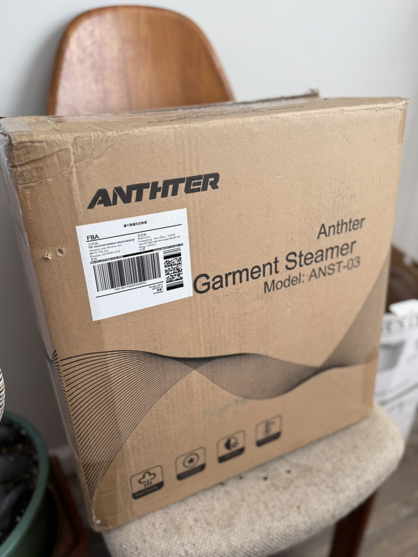 Multifunctional Garment Steamer