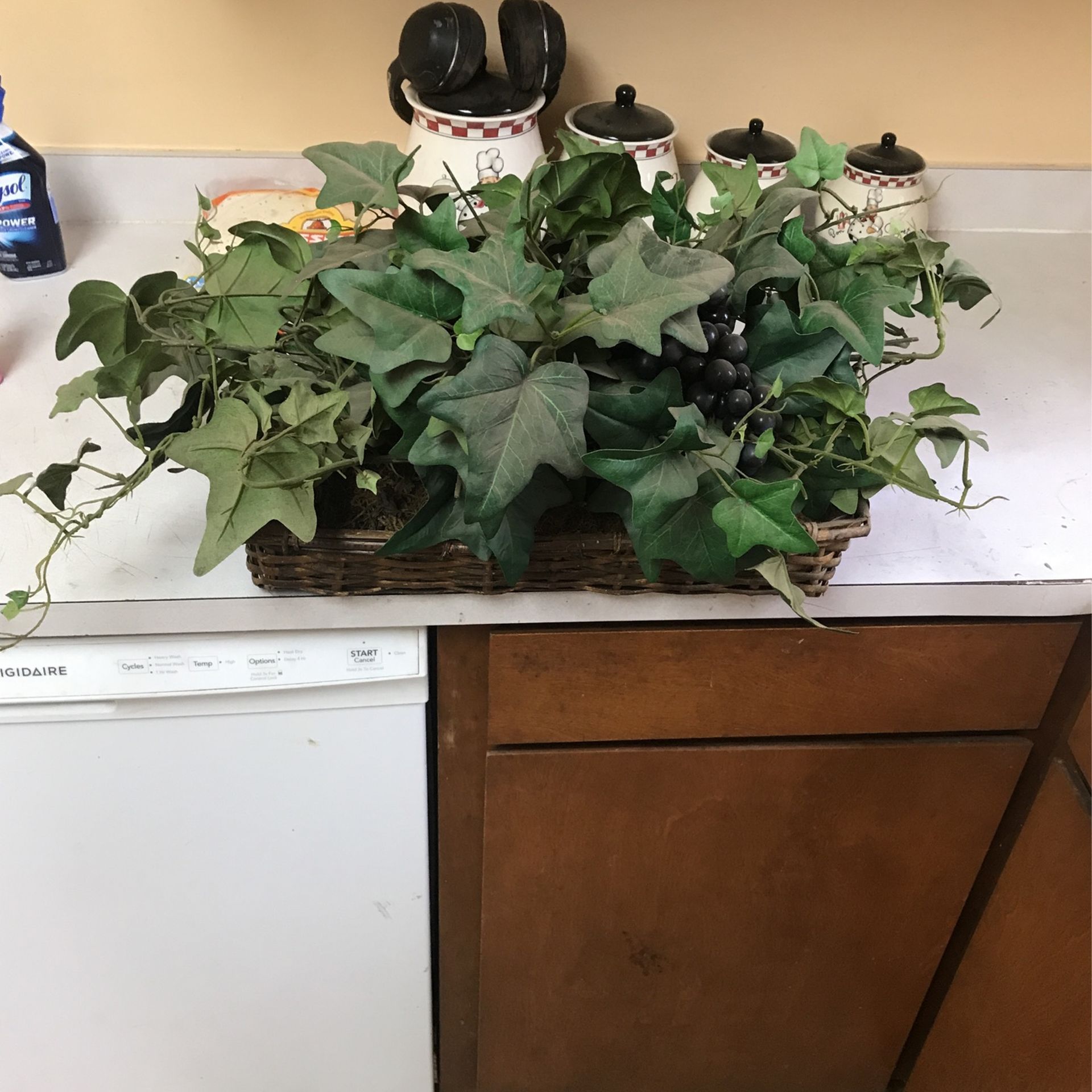 Grapes in a basket