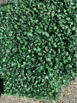 Green squares for outside