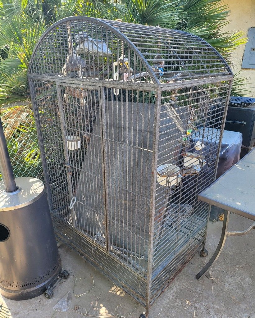 Bird Cage