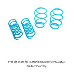 Godspeed Lowering Springs 