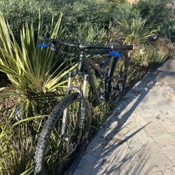 specialized stunt jumper