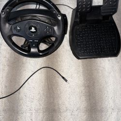 PS4 steering wheel