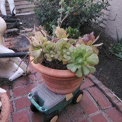 Italian Terra Cotta Pots - moving MUST SELL