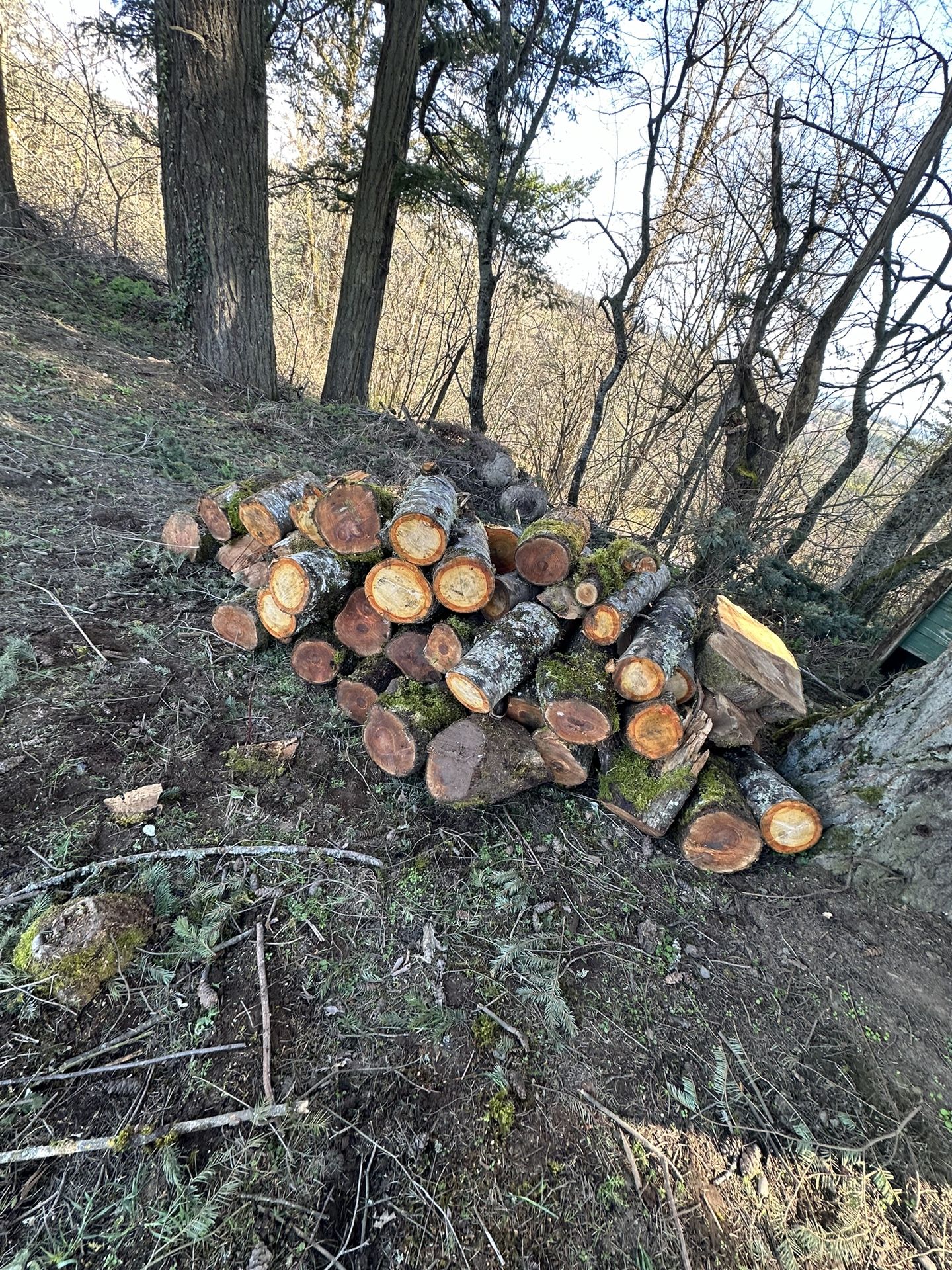 Firewood