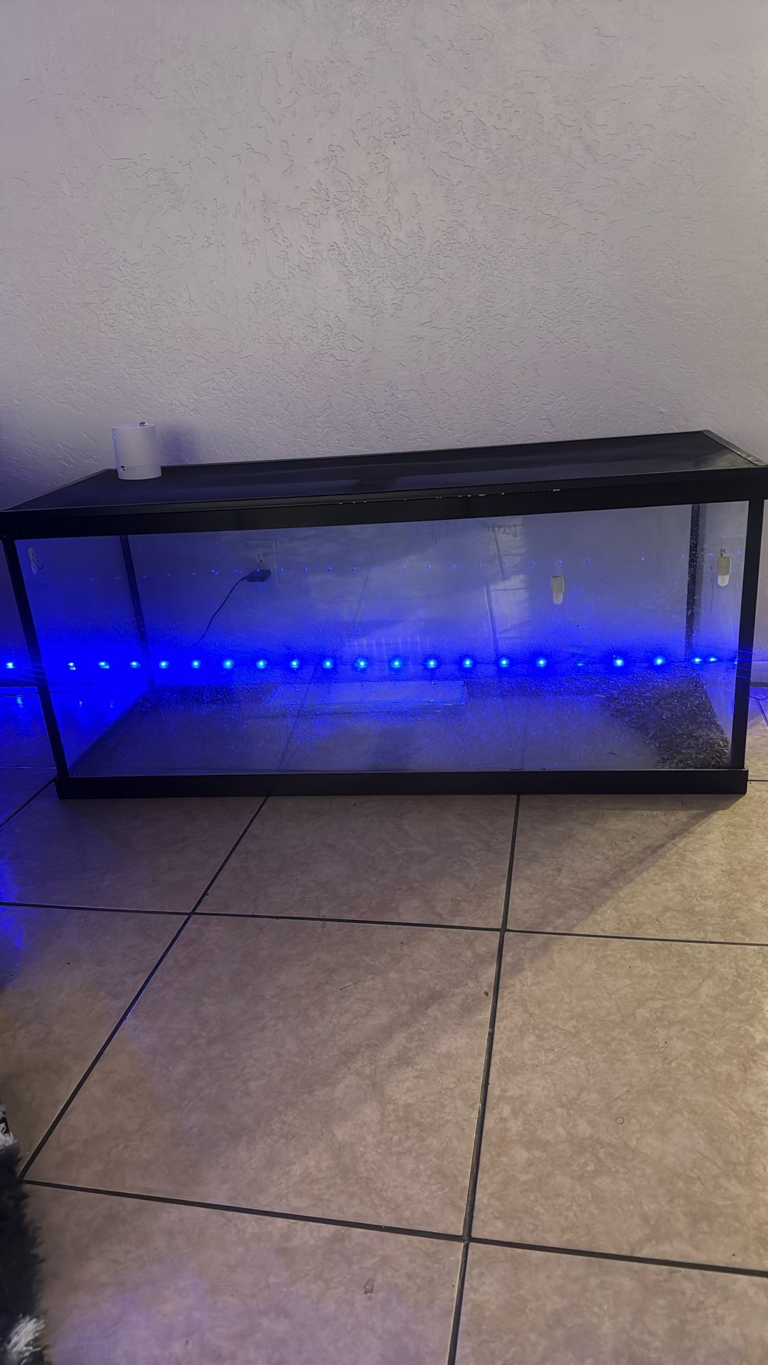 75 Gallon Tank