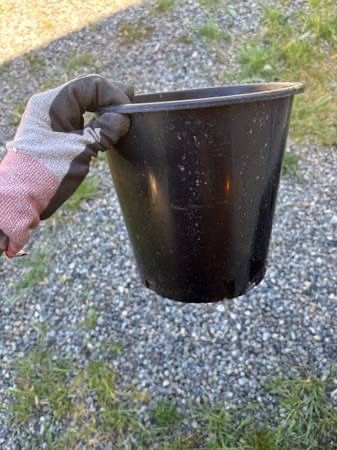 1000x 2 Gallon Nursery Garden Pots