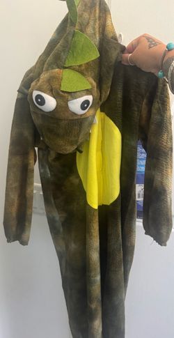 Dinosaur Costume