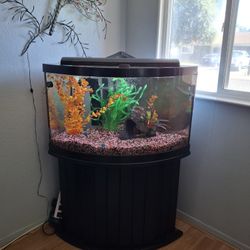 Fish Tank 65 Gallons
